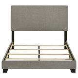 Dorian - Upholstered Panel Bed