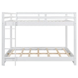 Sturdy Bunk Bed With Ladder