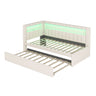 Upholstered Platform Bed With USB Ports And LED Belt