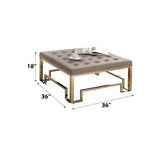 Damien - Cocktail Ottoman - Beige Fabric & Champagne