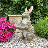Bunny Statue Garden Ornament - Antique Brown / White