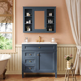 Bathroom Vanity With Mirror Cabinet, Single Sink With 2 Soft Closing Doors And 4 Drawers