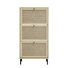 Modern Rattan 3 Door Shoe Rack Cabinet For Entryway