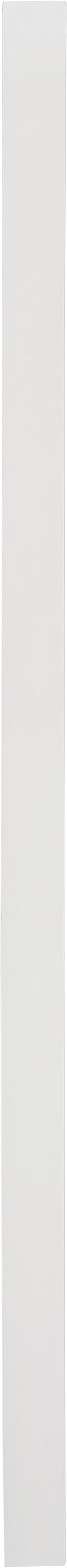 Modernist - Mirror With Stainless Steel Base - White