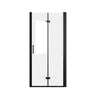 Bifold Shower Door
