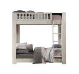 Cedro - Twin Over Twin Bunk Bed - Weathered White