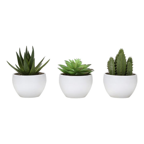 Artificial Succulent Plants (Set of 3)