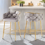 Modern Counter Stools (Set of 2)
