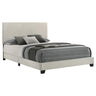 Dorian - Upholstered Panel Bed