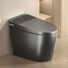 Smart Bidet Toilet With Auto Open / Close Seat