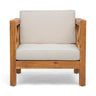 Brava - Mid - Century Modern Club Chair With Water Resistant Cushions