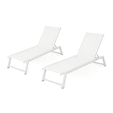 Myers - Modern Chaise Lounge Set With Adjustable Mesh Back