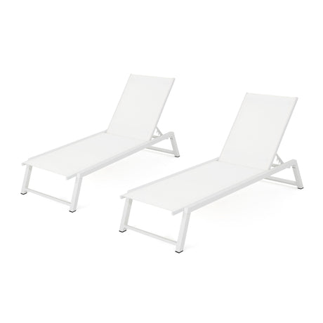 Myers - Modern Chaise Lounge Set With Adjustable Mesh Back