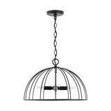 Capital Lighting 338842MB Corey Linear Pendant - Matte Black
