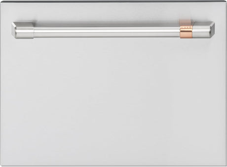 CDD220P2WS1