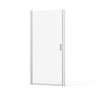 Pivot Shower Door, Tempered Glass, Semi Frameless
