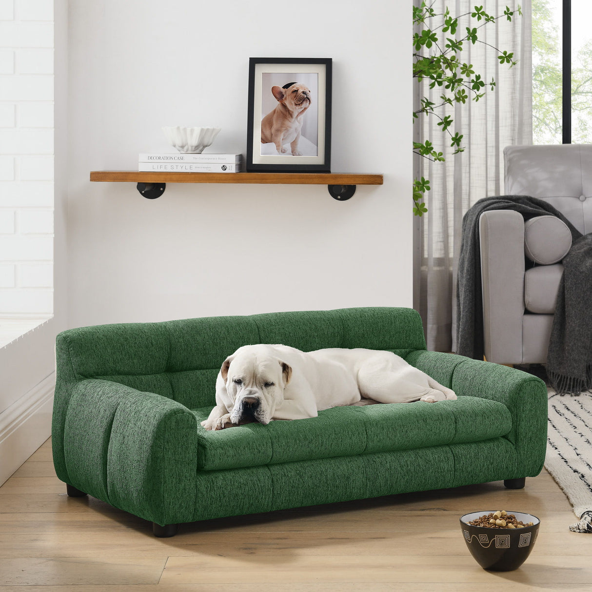 Modern Pet Sofa With Backrest And Armrests