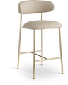 Lupita - Counter Stool With Brushed Gold Frame (Set of 2)