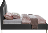 Lily - Bed
