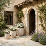 Florique - Indoor / Outdoor Concrete Planter