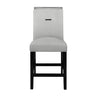 Ariya - Bar Stools With Padded Seat (Set of 2)