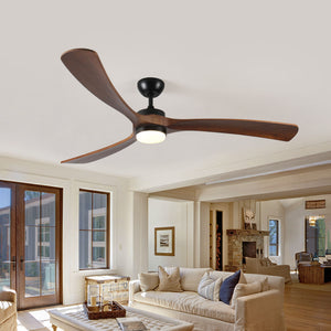 Shop All