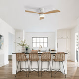 48" Ceiling Fan With Light, Dual Mount (Flush / Downrod), Dimmable LED, Quiet DC Motor, 3 Blades