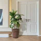 3 Pieces Flowerpot, Planter For Patio, Garden Or Windowsills