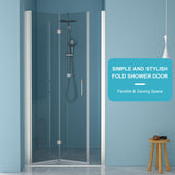 Fold Frameless Shower Door & Tempered Glass - Brushed Silver