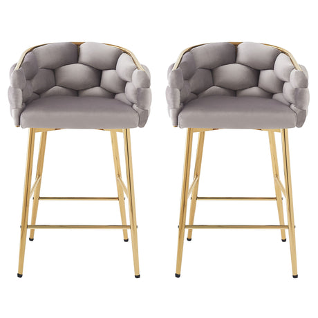 Modern Counter Stools (Set of 2)