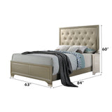 Carine - Queen Bed - Synthetic Leather & Champagne