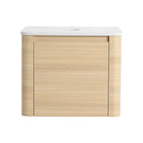 Wall Mounted Bathroom Vanity With Soft Close Door, Excluding Sink