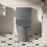 1 Piece Toilet With Dual Flush And Soft Closing Seat