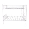 Space Saving Bunk Bed With Metal Frame And Ladder