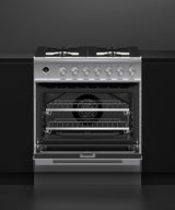 Fisher & Paykel OR30SDG6X1 30-inch Contemporary Dual Fuel Range - Image 4
