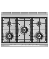 Fisher & Paykel OR36SDG4X1 36 inch Contemporary Gas Range - angled studio view