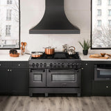 ZLINE 48 in. Black Stainless 6.0 cu. ft. 7 Gas Burner/Electric Oven Range (RAB-BR-48) - (RABBR48)