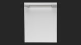 24" OVERLAY BUILT-IN DISHWASHER - (F4DWS24FI1)