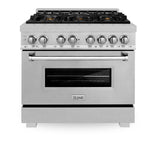 ZLINE 36 in. Professional Dual Fuel Range in DuraSnow Stainless Steel with Color Door Finishes [Color: DuraSnow Stainless Steel with Brass Burners] - (RASSNBR36)
