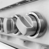 ZLINE 30" 4.0 cu. ft. Induction Range with a 4 Element Stove and Electric Oven in Stainless Steel (RAIND-30) [Color: White Matte] - (RAINDWM30)