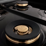 ZLINE Autograph Edition 48" 6.0 cu. ft. Dual Fuel Range with Gas Stove and Electric Oven in DuraSnow Stainless Steel (RASZ-SN-48) [Color: Gold] - (RASZSN48G)