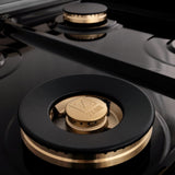 ZLINE Autograph Edition 48" 6.0 cu. ft. Dual Fuel Range with Gas Stove and Electric Oven in DuraSnow Stainless Steel (RASZ-SN-48) [Color: Gold] - (RASZSN48G)