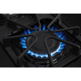 Amana AGR6603SMS 30" 5.0 cu. ft. Freestanding Gas Range in Stainless Steel