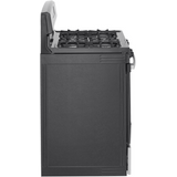 Amana AGR6603SMS 30" 5.0 cu. ft. Freestanding Gas Range in Stainless Steel