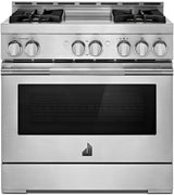 JennAir JGRP536HL range front view