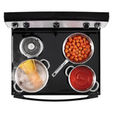 Amana AFCS2530TB oven interior