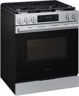 Samsung NSG70H60SR Gas Range additional view