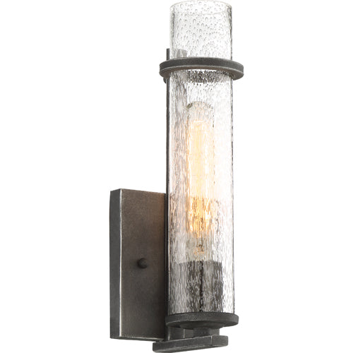 Nuvo Lighting 60-6381 Donzi 1 Bulb Wall Sconce - Iron Black