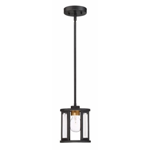 Nuvo Lighting 60-6412 Payne Mini Pendant - Black
