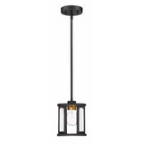 Nuvo Lighting 60-6412 Payne Mini Pendant - Black